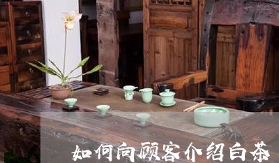 如何向顾客介绍白茶/2023071717502