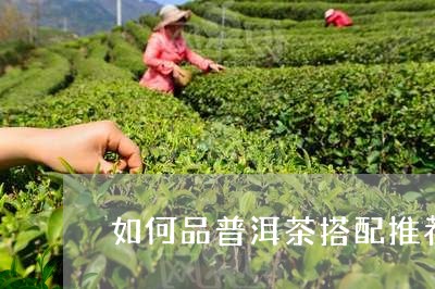 如何品普洱茶搭配推荐的茶/2023121667815