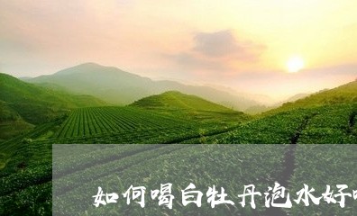 如何喝白牡丹泡水好喝又健康/2023062777057