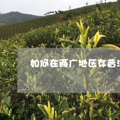 如何在两广地区存普洱茶/2023102460615