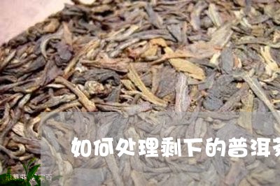 如何处理剩下的普洱茶/2023062321683