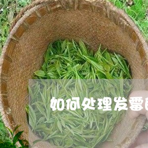 如何处理发霉的普洱茶/2023062159717