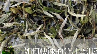 如何快速的分开普洱茶/2023081694159