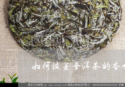 如何恢复普洱茶的香味/2023080192945