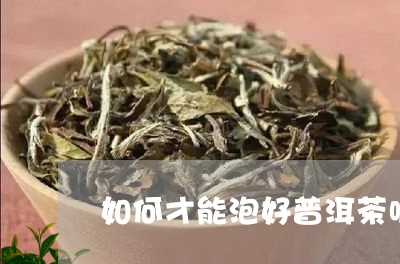 如何才能泡好普洱茶呢图片/2023112481525