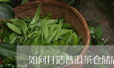 如何打造普洱茶仓储店面/2023102462605