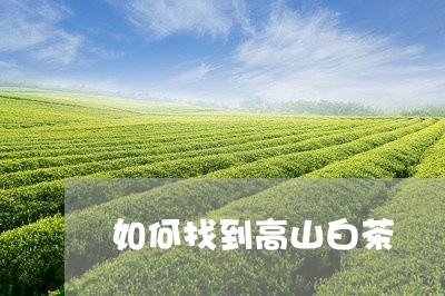 如何找到高山白茶/2023061788381