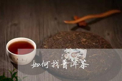 如何找普洱茶/2023042690011