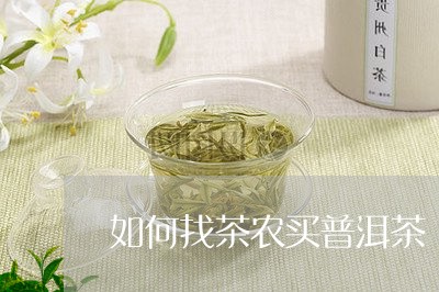 如何找茶农买普洱茶/2023101640581