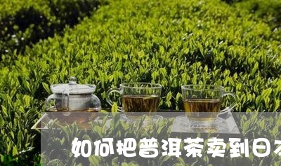 如何把普洱茶卖到日本/2023080385026