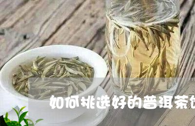 如何挑选好的普洱茶饼/2023092830682