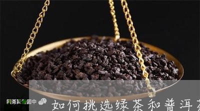 如何挑选绿茶和普洱茶/2023080128350