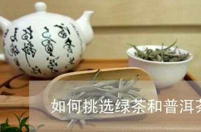 如何挑选绿茶和普洱茶/2023100625361