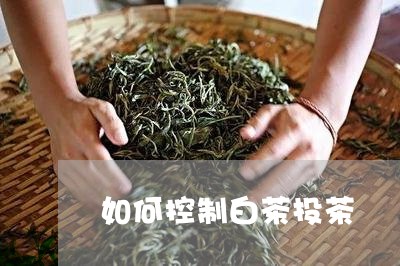 如何控制白茶投茶/2023061723713