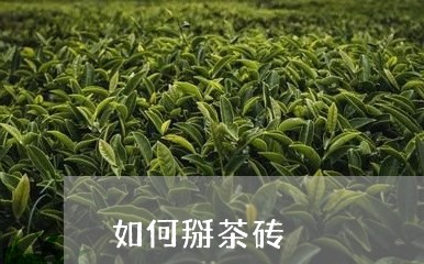 如何掰茶砖/2023122008372