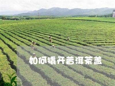 如何撬开普洱茶盖/2023121639713