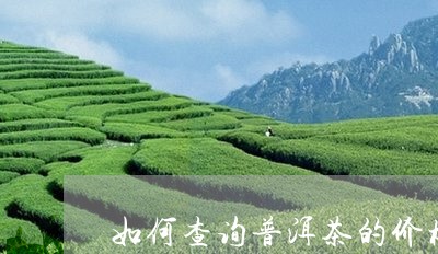 如何查询普洱茶的价格/2023100749484