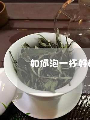 如何泡一杯好的普洱茶/2023092693706