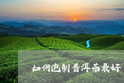 如何泡制普洱茶最好/2023111026838