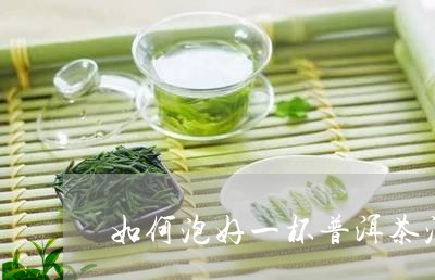 如何泡好一杯普洱茶沱茶/2023082749395