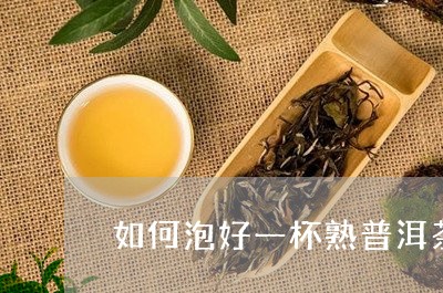 如何泡好一杯熟普洱茶/2023121627370