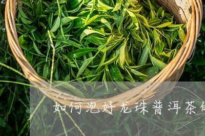 如何泡好龙珠普洱茶的茶叶/2023082904038