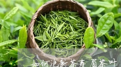 如何泡新茶寿眉茶叶/2023091377361