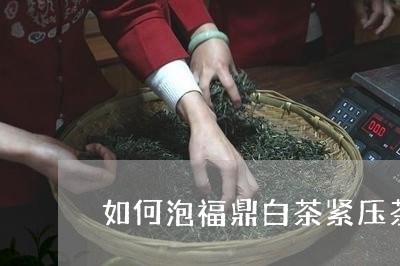 如何泡福鼎白茶紧压茶/2023120713279