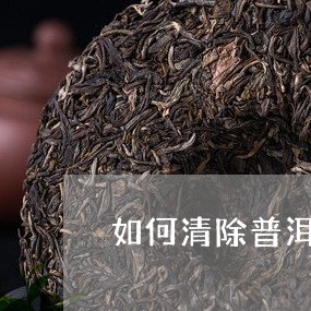 如何清除普洱茶的霉味/2023062579570