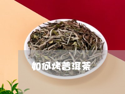 如何烤普洱茶/2023042602223