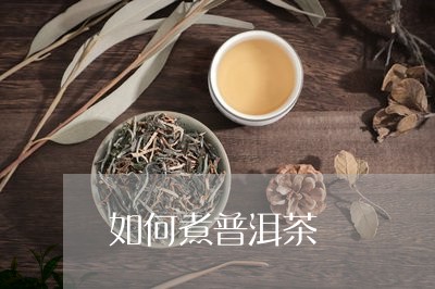 如何煮普洱茶/2023042999171