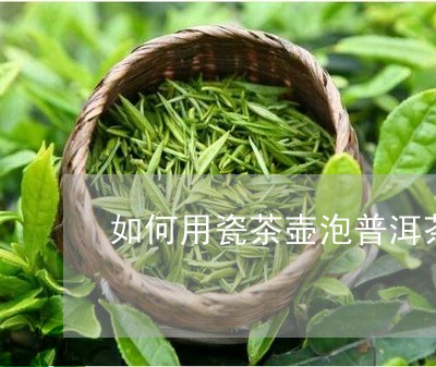 如何用瓷茶壶泡普洱茶/2023092905047