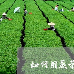 如何用蒸茶器煮老白茶/2023092846158