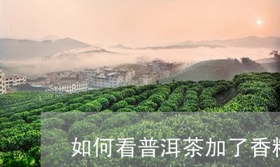 如何看普洱茶加了香精/2023080235038