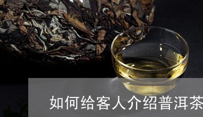 如何给客人介绍普洱茶饼/2023121640405