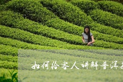 如何给客人讲解普洱茶/2023080241593