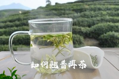 如何翘普洱茶/2023042662596