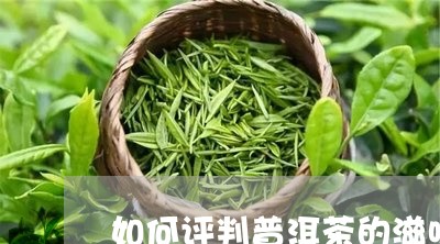 如何评判普洱茶的滋味/2023080303816