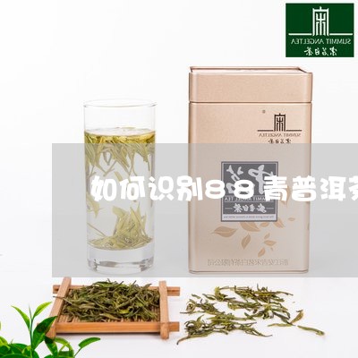 如何识别88青普洱茶/2023110547061