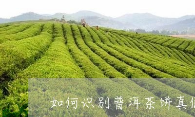 如何识别普洱茶饼真假/2023080179481