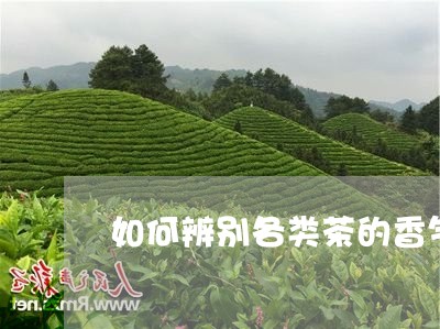 如何辨别各类茶的香气/2023060903717