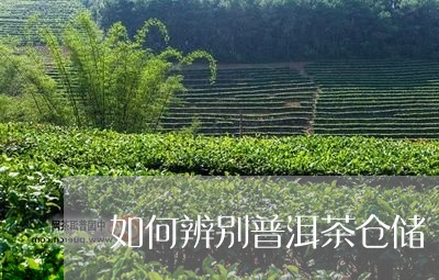 如何辨别普洱茶仓储/2023091404916