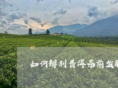 如何辨别普洱茶前发酵的好坏/2023082852047