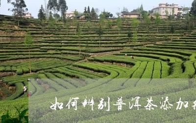 如何辨别普洱茶添加剂/2023061784059