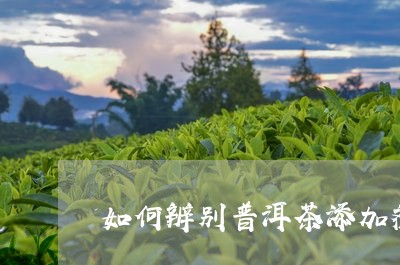 如何辨别普洱茶添加剂/2023072427370