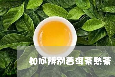 如何辨别普洱茶熟茶/2023070993147