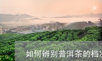 如何辨别普洱茶的档次/2023062739492