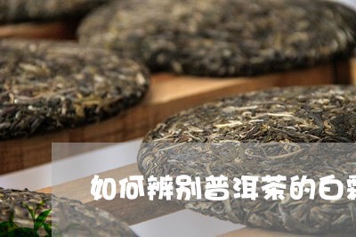 如何辨别普洱茶的白霜/2023062729471