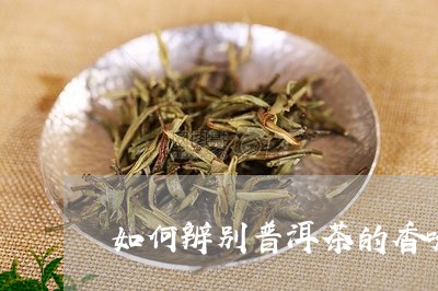 如何辨别普洱茶的香味/2023080159704