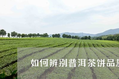 如何辨别普洱茶饼品质/2023080259313